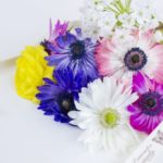 ブルーミーライフお花